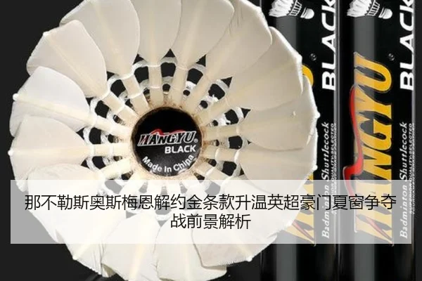 那不勒斯奥斯梅恩解约金条款升温英超豪门夏窗争夺战前景解析