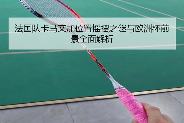 法国队卡马文加位置摇摆之谜与欧洲杯前景全面解析
